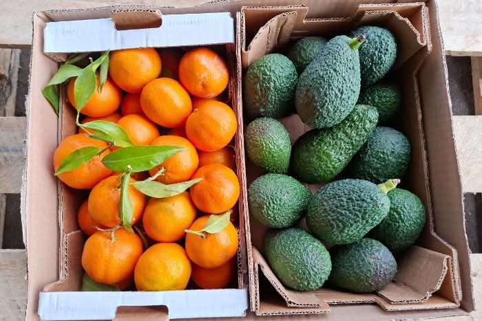 Bio Avocado-Clementine Duo Sonntags-Special % 4,3kg