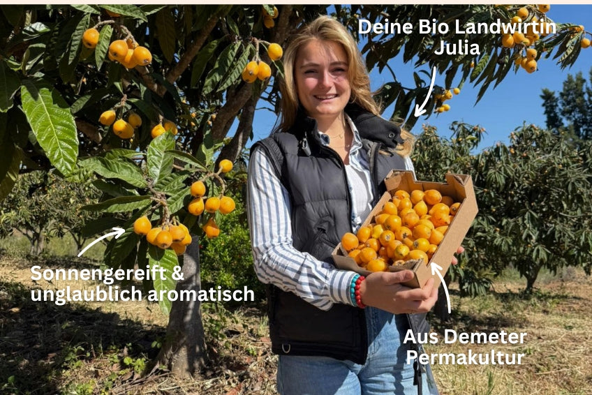 Nisperos von Julia Demeter Permakultur 2kg Aktionspreis %