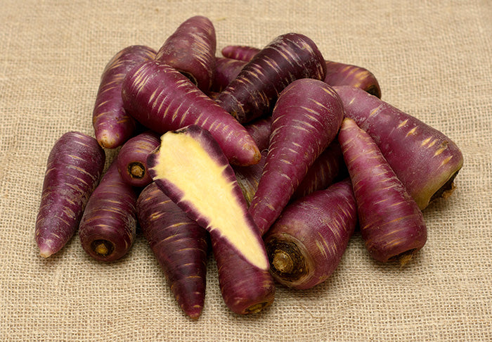 Karotten “Purple Haze" bio samenfest Familie Schoof Demeter