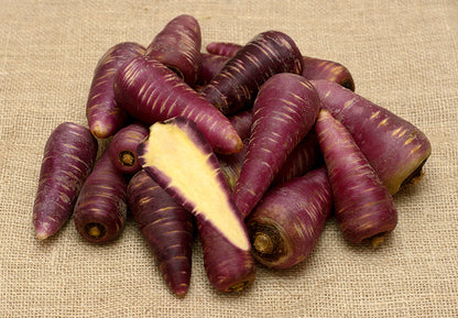 Karotten “Purple Haze" bio samenfest Familie Schoof Demeter