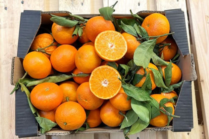 Mandarinen Nova Bio von Familie Bilardi Kalabrien Box 6kg