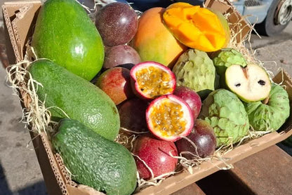 Bio Obstbox „Tropical Weekend“