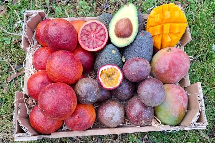 Bio Obstbox “Exotischer Wintertraum”