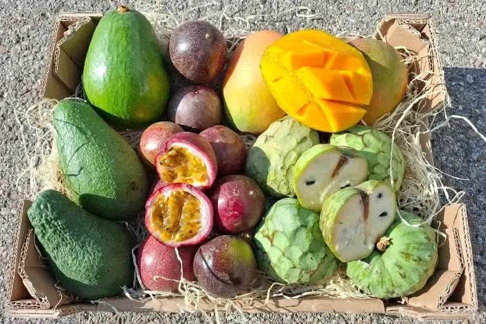 Bio Obstbox „Tropical Weekend“