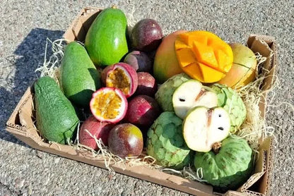 Bio Obstbox „Tropical Weekend“