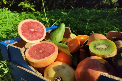 Bio Obstbox „Kreta-Liebe“