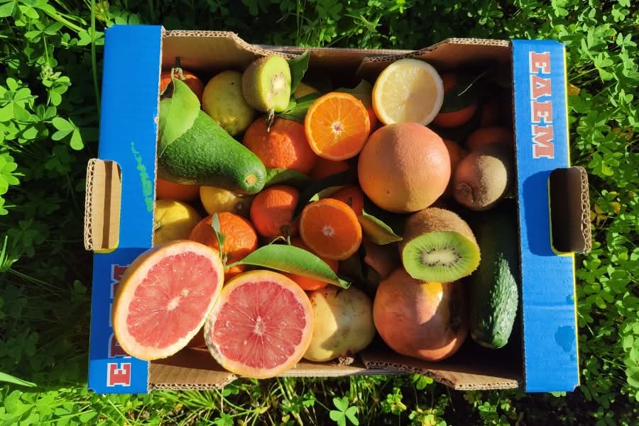 Bio Obstbox „Kreta-Liebe“