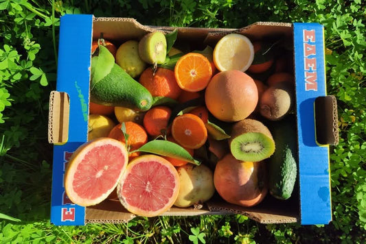 Bio Obstbox „Kreta-Liebe“