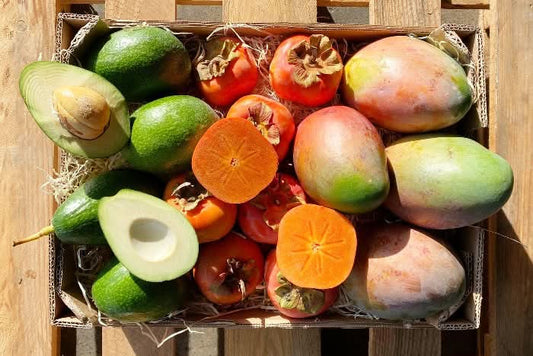 Obstbox "Sonnentrio Andalusien" Sparpreis  Bio