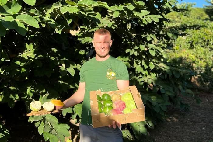 Bio Früchte Trio von Julian große Sparaktion % 12kg