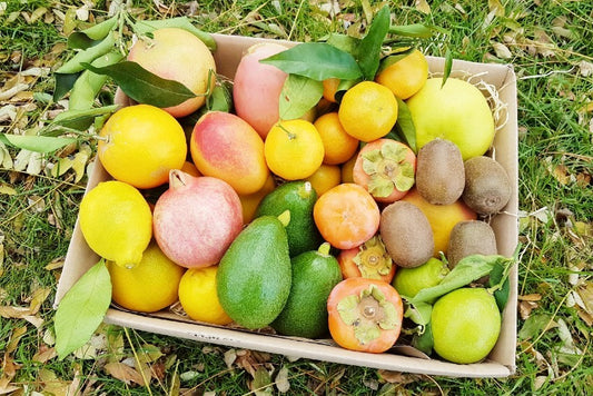 Obstbox "Andalusien" 5kg Aktionswoche %