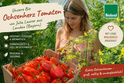 Tomaten "Ochsenherz" Bioland vom Biohof Laurer aus Landau (weiche, alte Sorte)