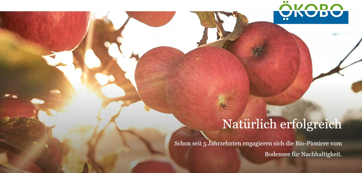 Kinderapfel Bio regional bioland Obst und Weinbaubetrieb Lanz Nonnenhorn