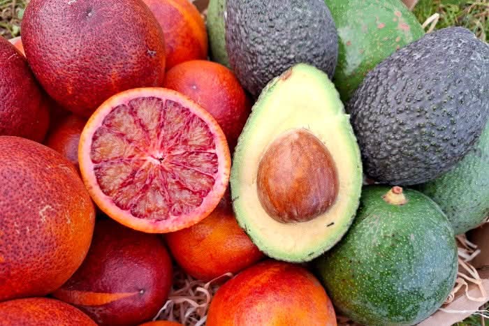 Bio Obstbox „Blutorangen & Avocado“