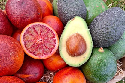 Bio Obstbox „Blutorangen & Avocado“