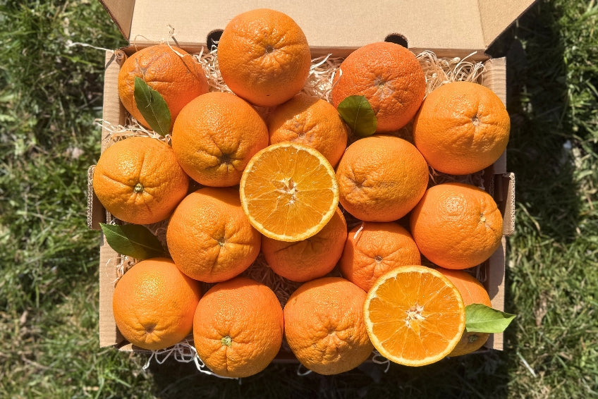 Orangen Navel Bio & Demeter Permakultur Box 4kg