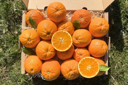 Orangen Navel Bio & Demeter Permakultur Box 4kg