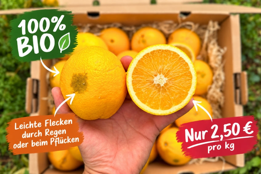 Orangen Bio Retterbox % 6kg