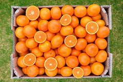 clementinen aufbewahren Bio Clementinen Orri kaufen– edle Premium-Clementinen, süß & kernarm