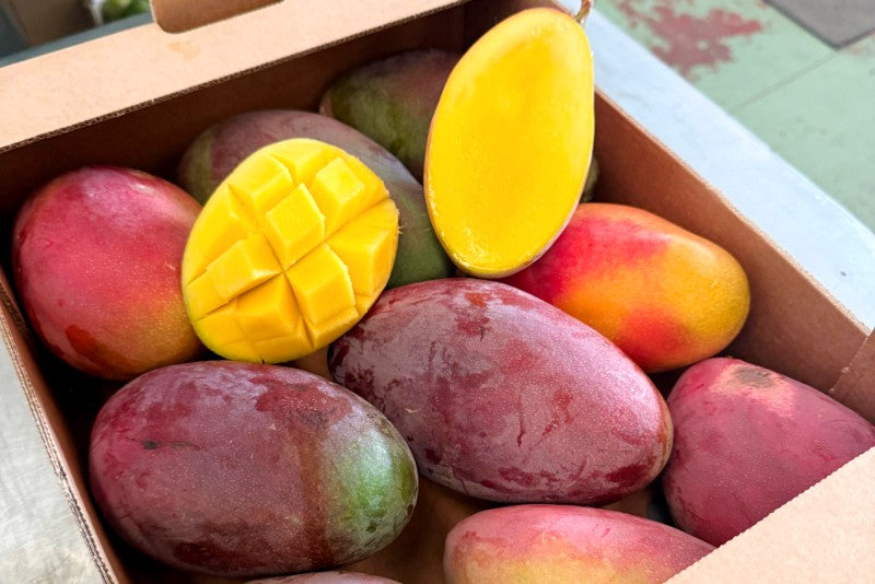 Mango Palmer von Julian Sonderaktion % 4kg