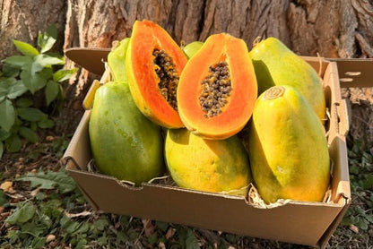 Papaya