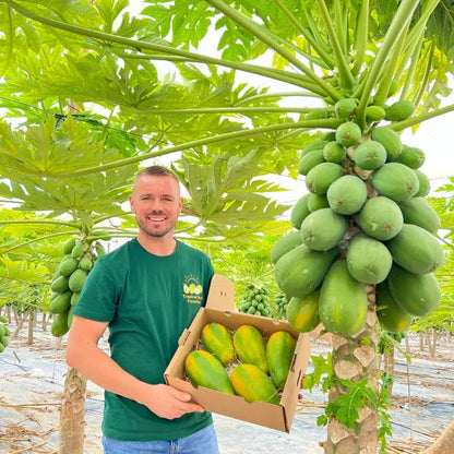 Papaya Bio von Julian