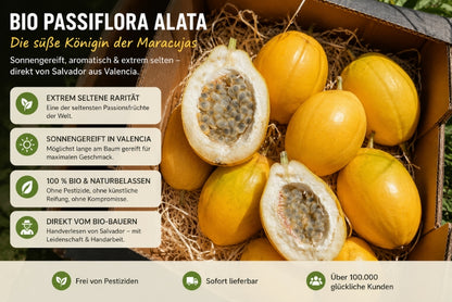 Passionsfrucht Alata von Salvador