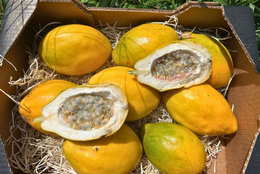 Passionsfrucht Alata von Salvador
