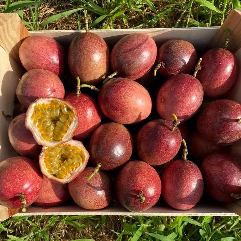 Passionsfrüchte & Maracuja Mix