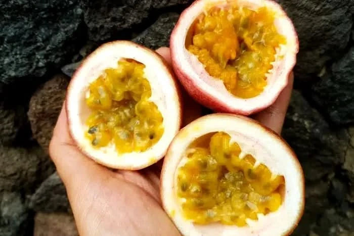 Aufgeschnittene Passionsfrüchte mit saftigem Fruchtfleisch – direkt vom Ätna in Sizilien, perfekt für alle, die Passionsfrüchte kaufen möchten