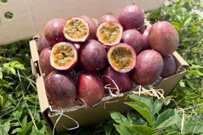 Bio Passionsfrüchte kaufen – aromatisch & direkt vom Bauern