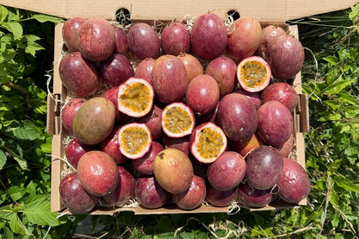 Frische Bio-Passionsfrüchte direkt aus Spanien in einer Box – ideal für alle, die Passionsfrüchte kaufen Spanien und tropischen Genuss erleben möchten
