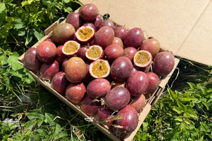 Frische rote Passionsfrüchte aus Andalusien in Bio-Qualität – direkt vom Bauernhof in Spanien kaufen