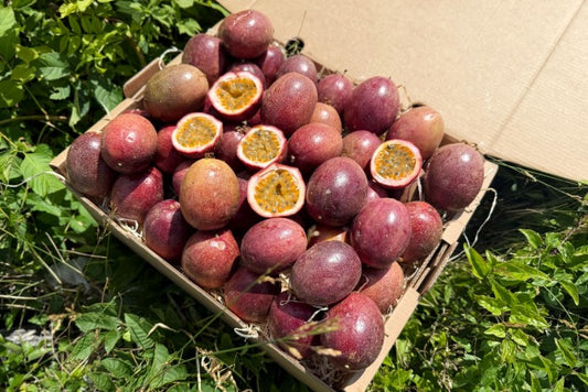 Frische rote Passionsfrüchte aus Andalusien in Bio-Qualität – direkt vom Bauernhof in Spanien kaufen
