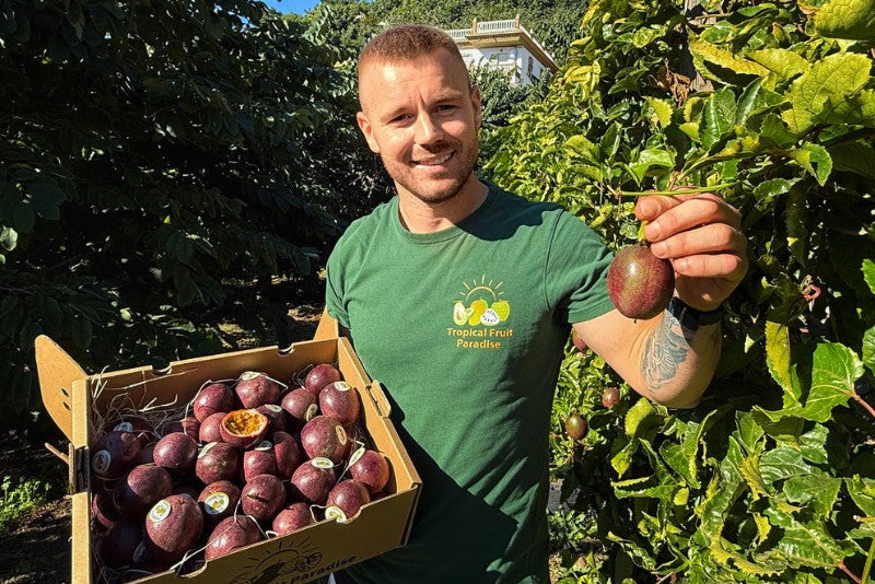 Passionsfrüchte von Julian Sparpreis-Box