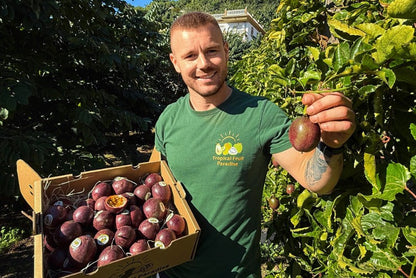 Passionsfrüchte von Julian Sparpreis-Box