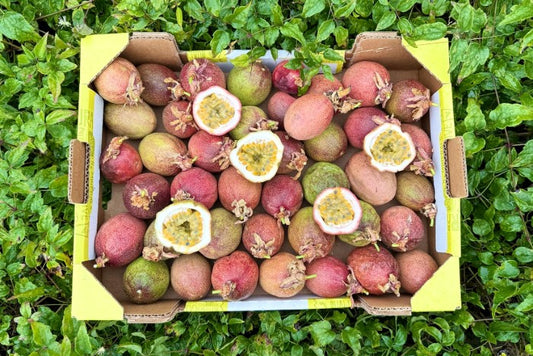 Ätna Passionsfrüchte Bio Sizilien Retterbox 1,25kg