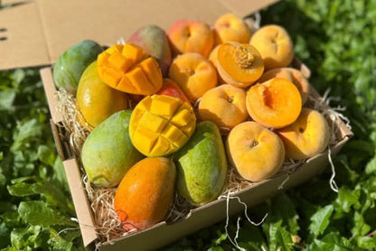 Mango & Pfirsich Duo Box