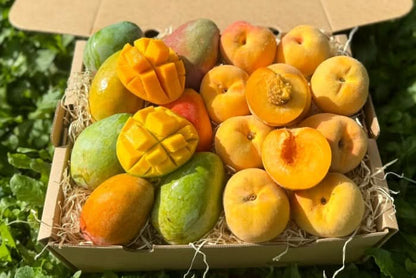 Mango & Pfirsich Duo Box
