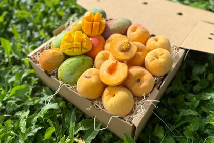 Mango & Pfirsich Duo Box