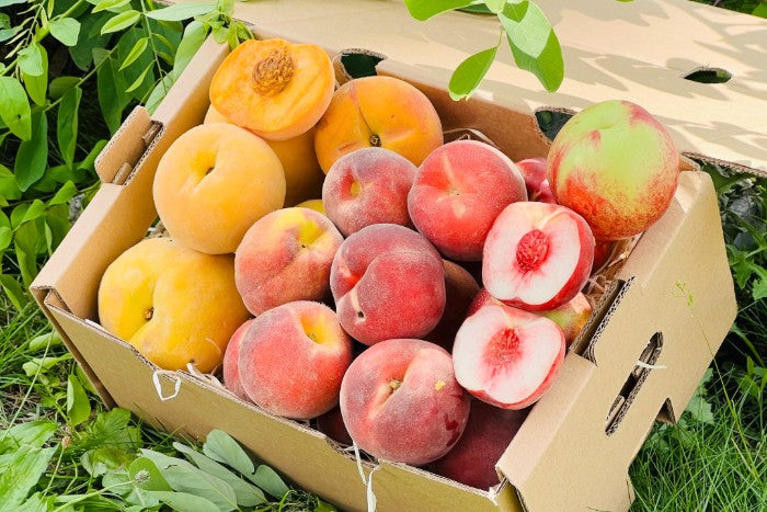 Pfirsich-Mix Bio von Nicolas 3kg Box