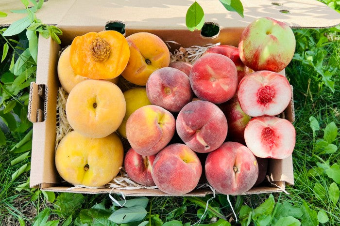Pfirsich-Mix Bio von Nicolas 3kg Box