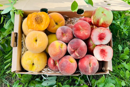 Pfirsich-Mix Bio von Nicolas 3kg Box