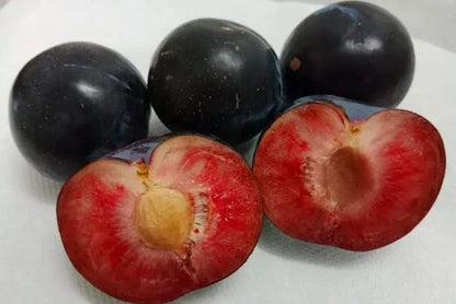 Bio Pflaumen-Delikatesse Pluot von Maria 500g