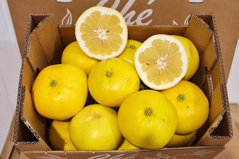 Pomelo weiss Bio - 5 Kg