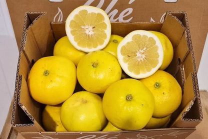 Pomelo weiss Bio - 5 Kg