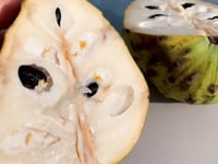 Cherimoya von Julian
