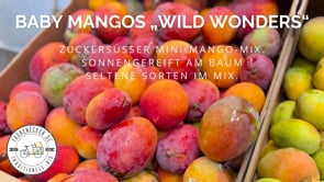 Baby-Mango Mix "Wild Wonders" Box
