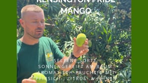 Mango Rarität "Kensington Pride" von Julian