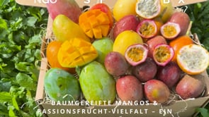 Mango & Passiflora Duo Box